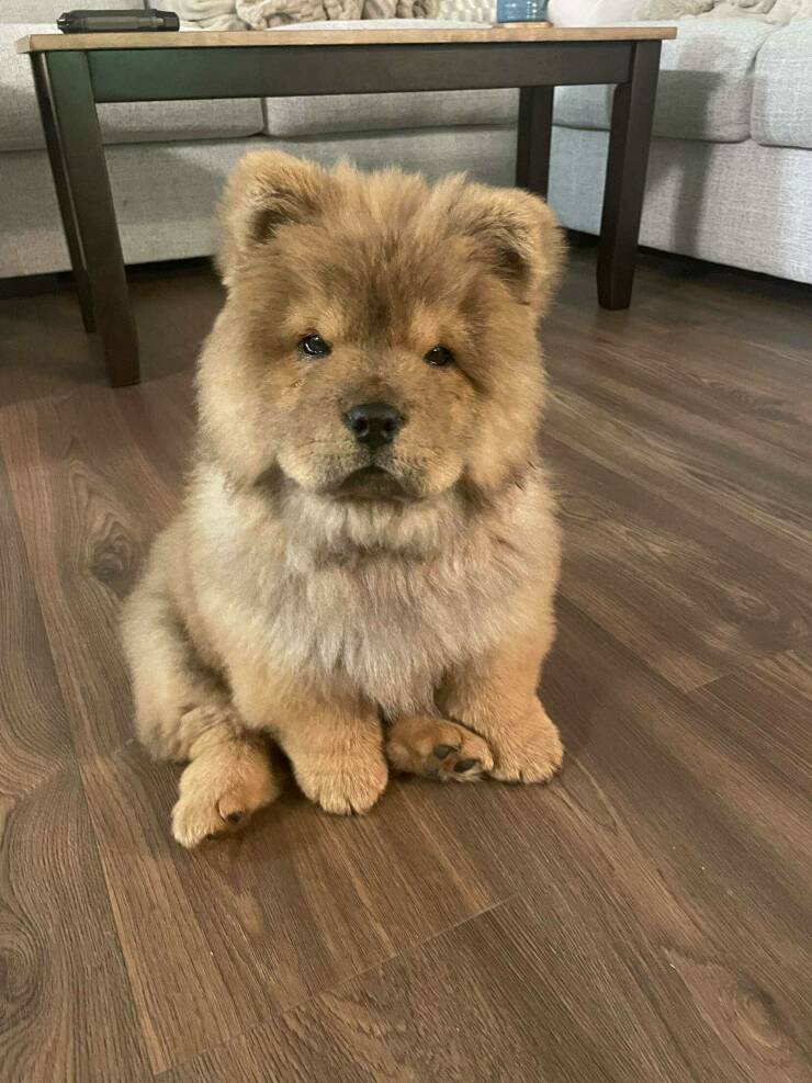 Daily Picdump Daily Picdump