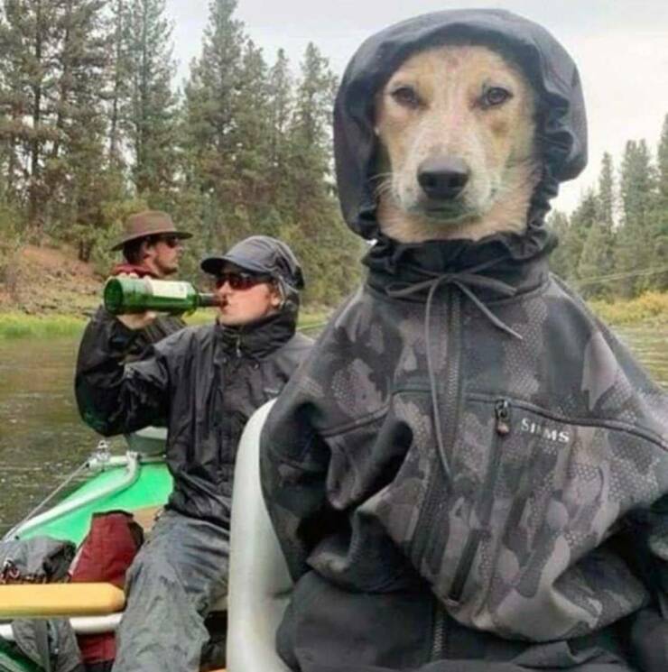 Daily Picdump Daily Picdump