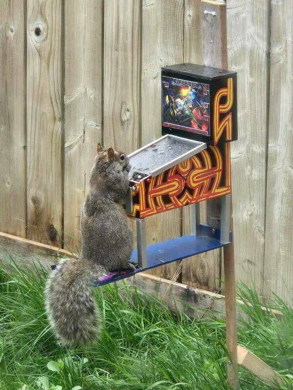 Daily Picdump Daily Picdump