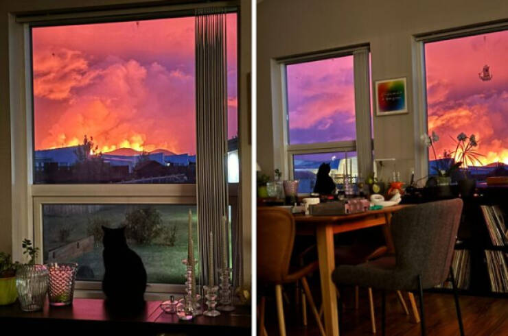 Curiously Captivating Moments Caught on Camera