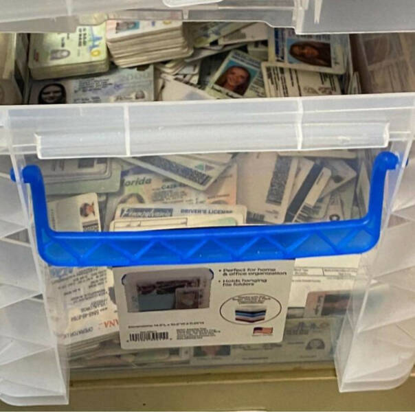 Curiously Captivating Moments Caught on Camera