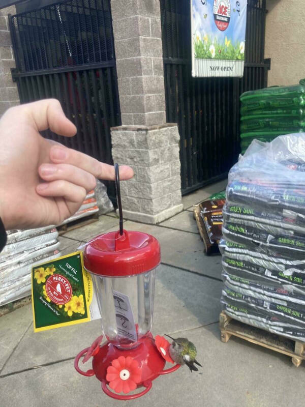 Curiously Captivating Moments Caught on Camera