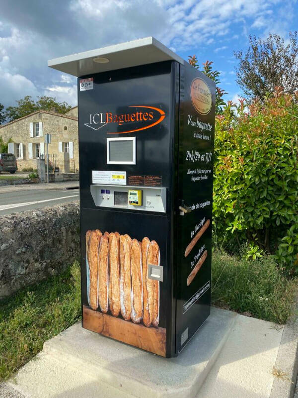 Curiously Captivating Moments Caught on Camera