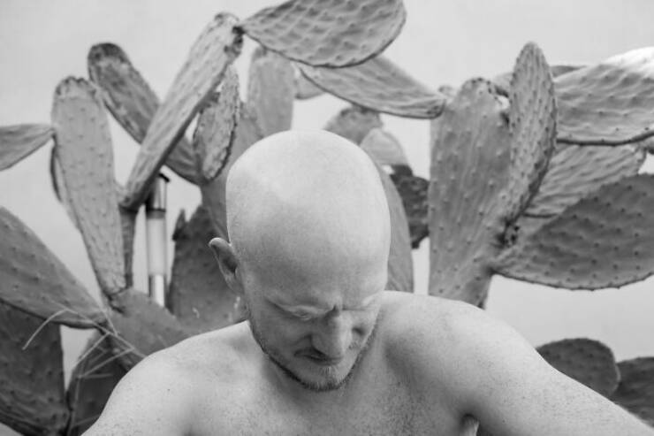 Adriana Ferrarese Captures the Poetry of Ordinary Life