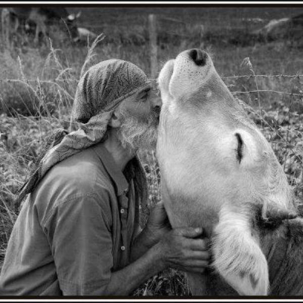 Mildly Heartwarming Moments Matter Too