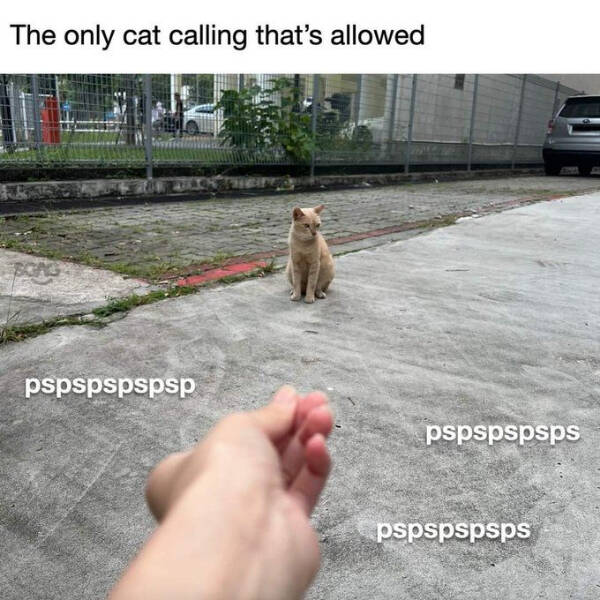 Mildly Heartwarming Moments Matter Too