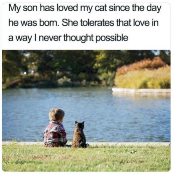 Mildly Heartwarming Moments Matter Too