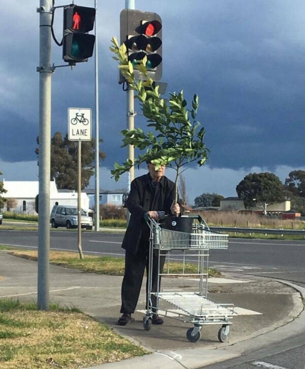 Mildly Heartwarming Moments Matter Too