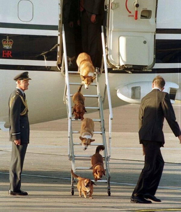 Mildly Heartwarming Moments Matter Too