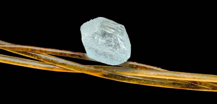 Ordinary Objects, Extraordinary Close-Ups