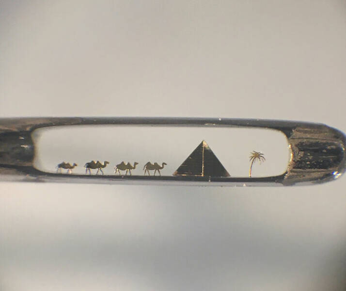 Ordinary Objects, Extraordinary Close-Ups