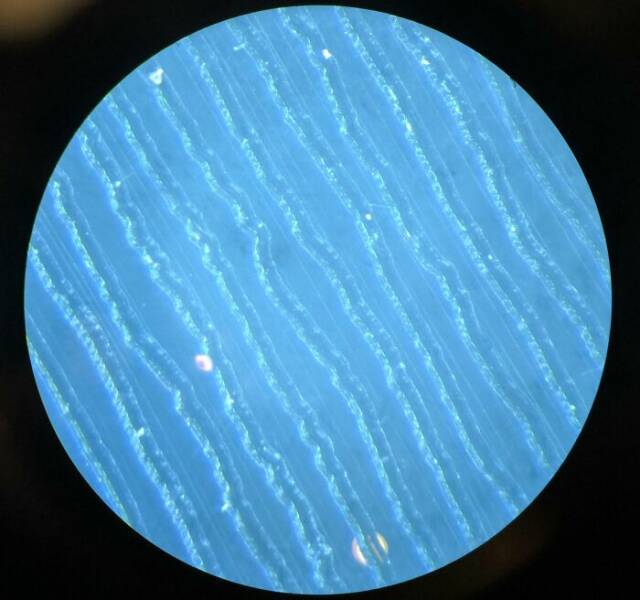 Ordinary Objects, Extraordinary Close-Ups