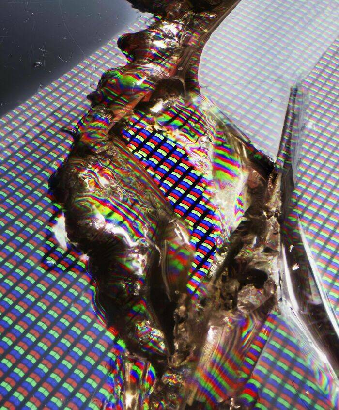 Ordinary Objects, Extraordinary Close-Ups