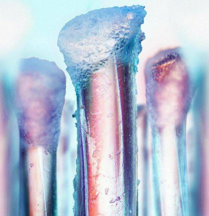 Ordinary Objects, Extraordinary Close-Ups