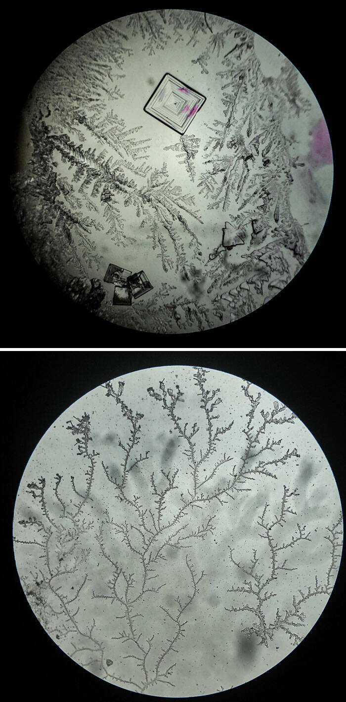 Ordinary Objects, Extraordinary Close-Ups