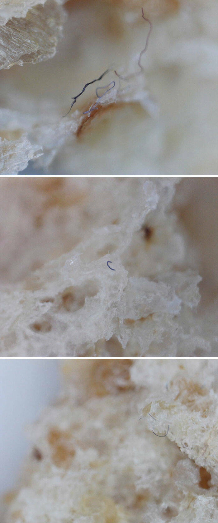 Ordinary Objects, Extraordinary Close-Ups