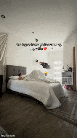 Daily Gifdump Daily Gifdump