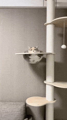 Daily Gifdump Daily Gifdump