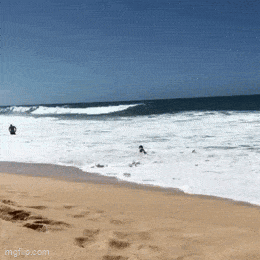 Daily Gifdump Daily Gifdump