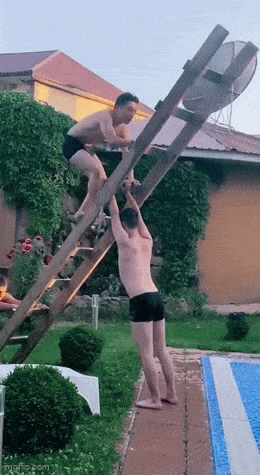 Daily Gifdump Daily Gifdump