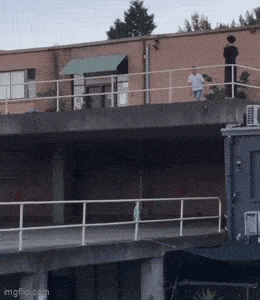 Daily Gifdump Daily Gifdump