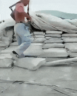 Daily Gifdump Daily Gifdump