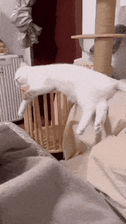 Daily Gifdump Daily Gifdump