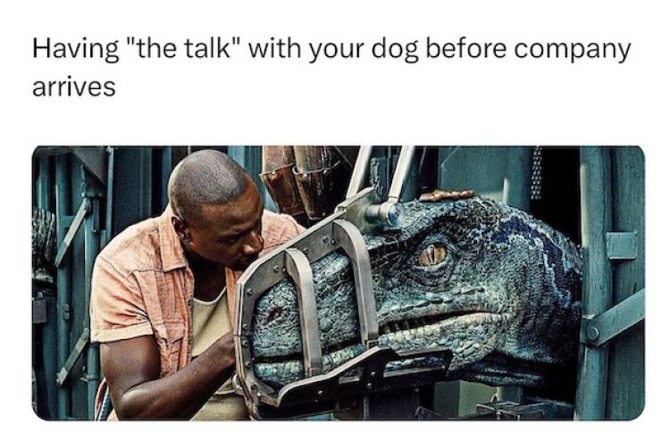 Beasts: Meme Legends In The Making