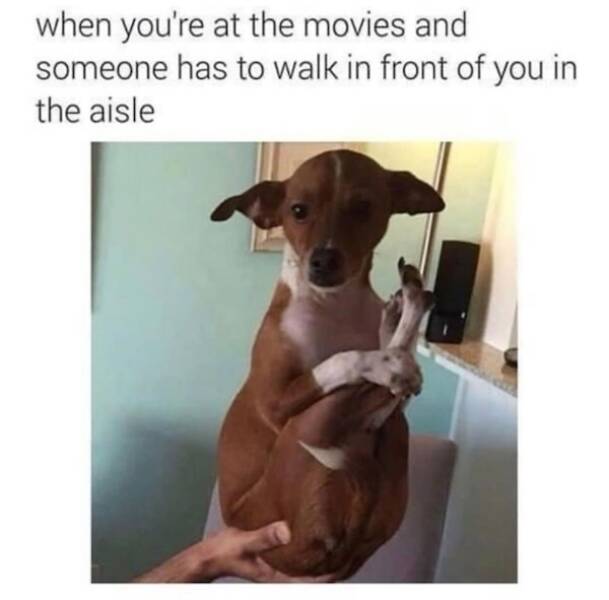 Beasts: Meme Legends In The Making