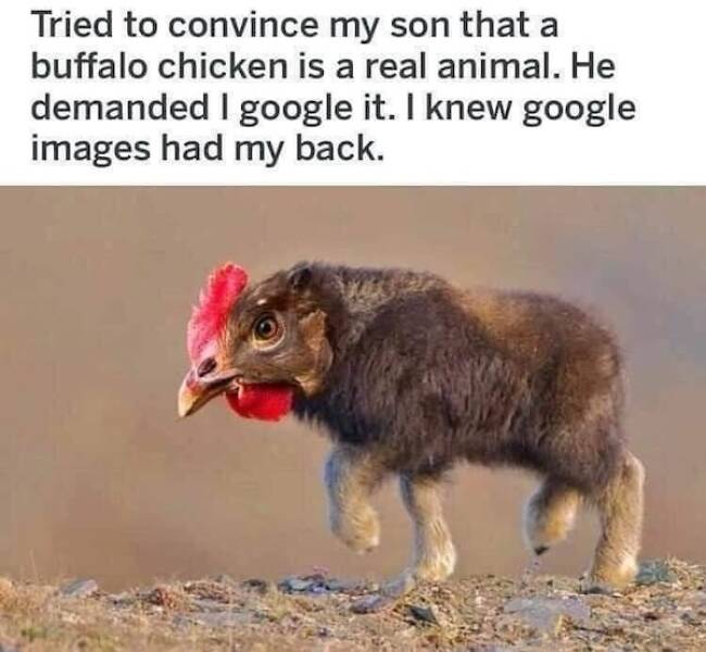 Beasts: Meme Legends In The Making