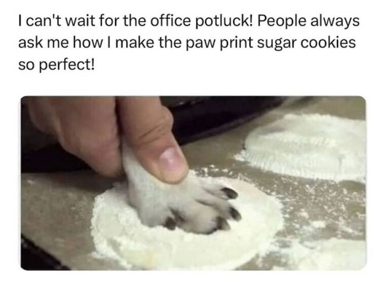 Beasts: Meme Legends In The Making