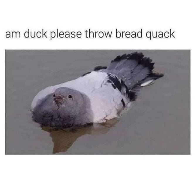 Beasts: Meme Legends In The Making