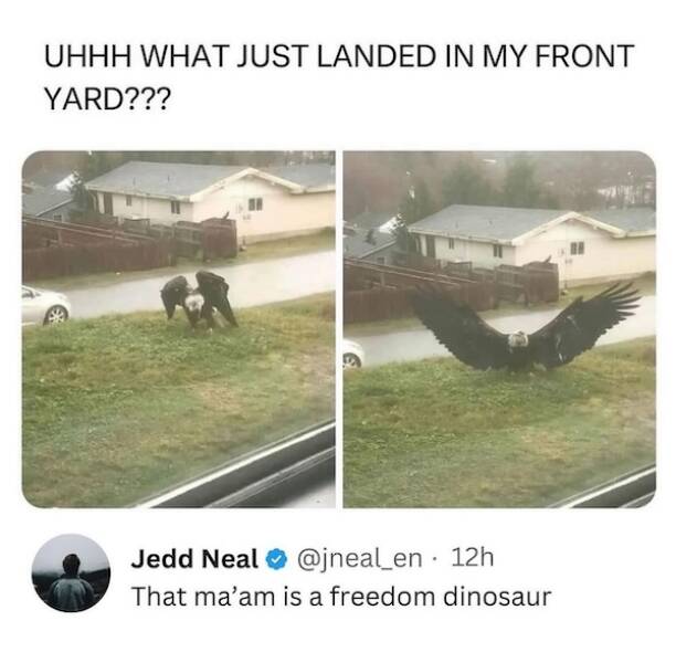 Beasts: Meme Legends In The Making