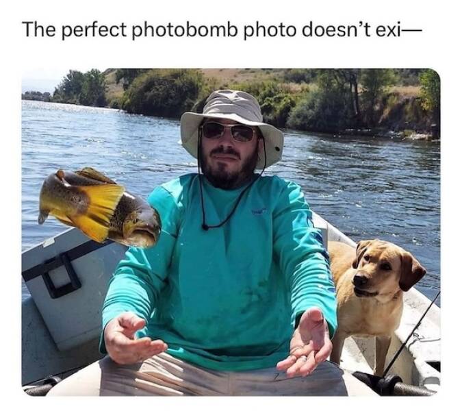 Beasts: Meme Legends In The Making