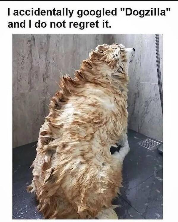 Beasts: Meme Legends In The Making