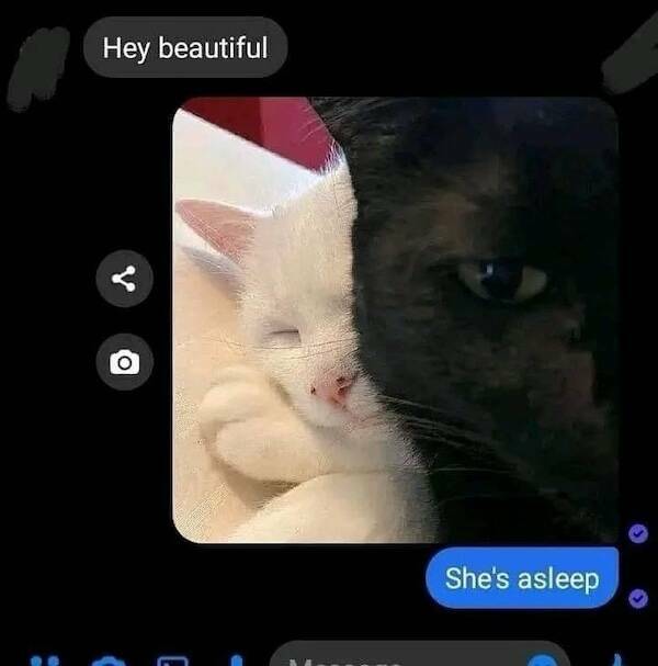 Beasts: Meme Legends In The Making