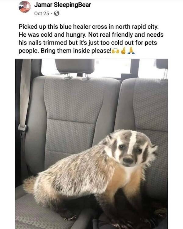 Beasts: Meme Legends In The Making