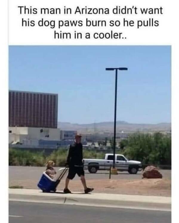 Beasts: Meme Legends In The Making