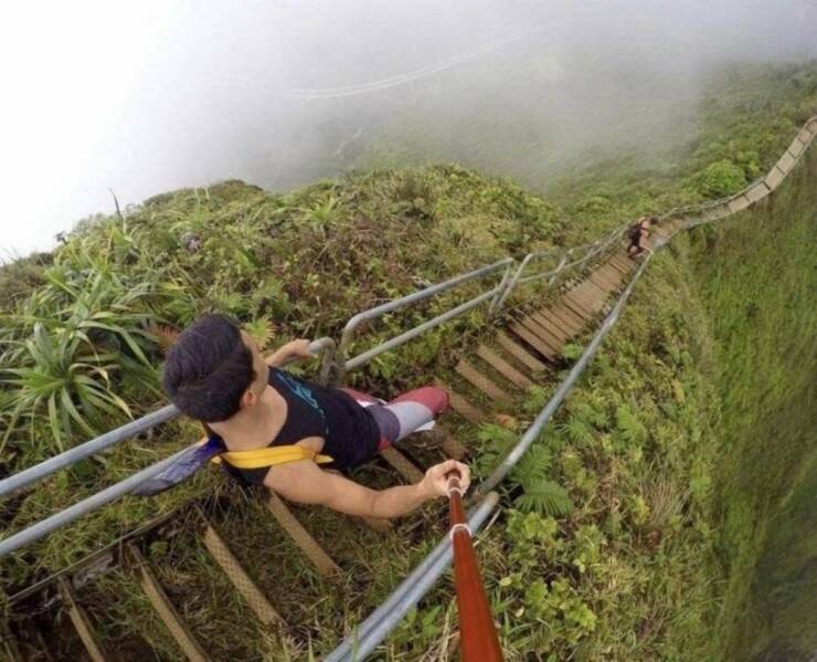 Daily Picdump