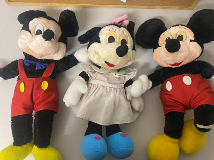 House Secrets: Unexpectedly Amazing Finds