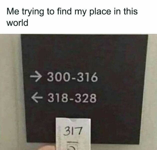 Memes So Specific, They Hurt Memes So Specific, They Hurt