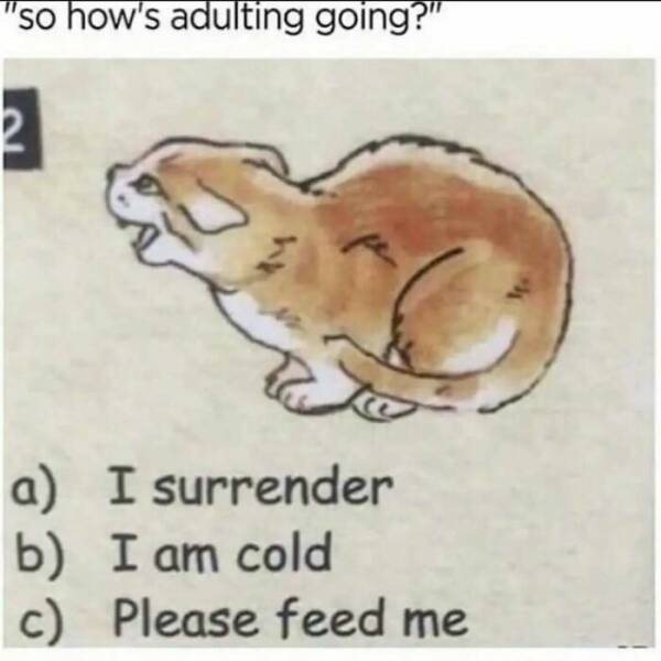 Memes So Specific, They Hurt Memes So Specific, They Hurt