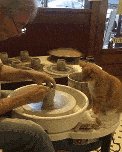 Daily Gifdump Daily Gifdump