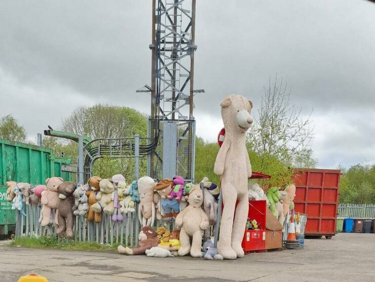 Daily Picdump Daily Picdump