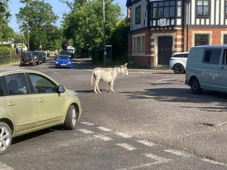 Daily Picdump Daily Picdump