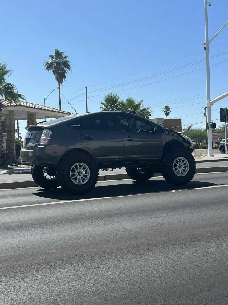 Daily Picdump Daily Picdump