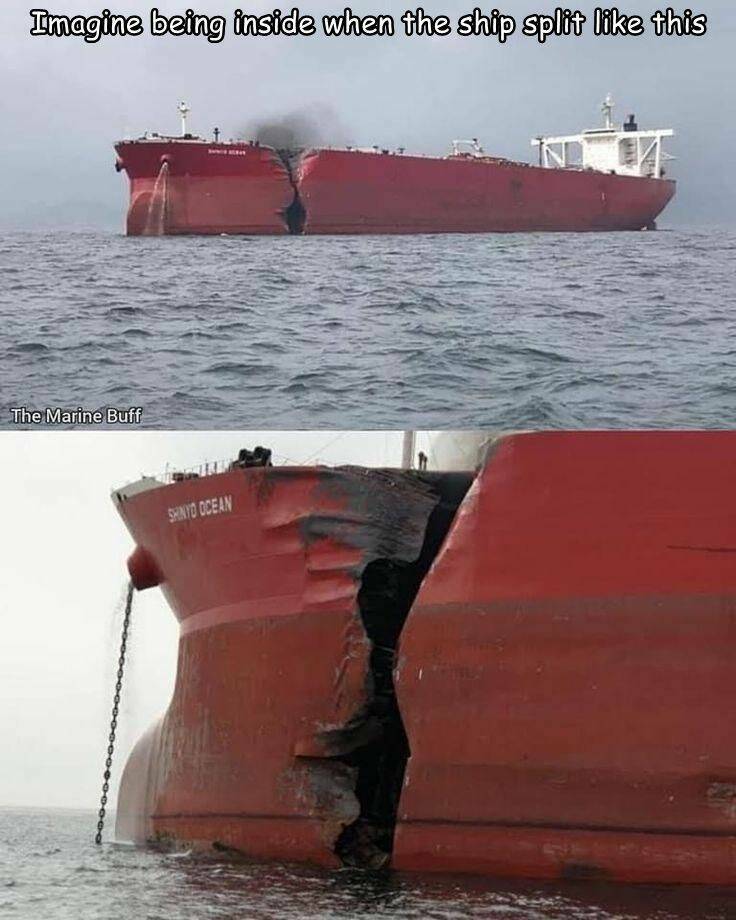 Daily Picdump Daily Picdump