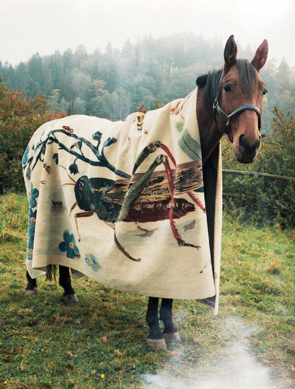 Caption Required ASAP