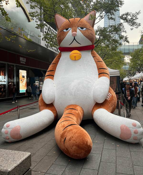 Caption Required ASAP