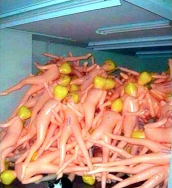 Caption Required ASAP